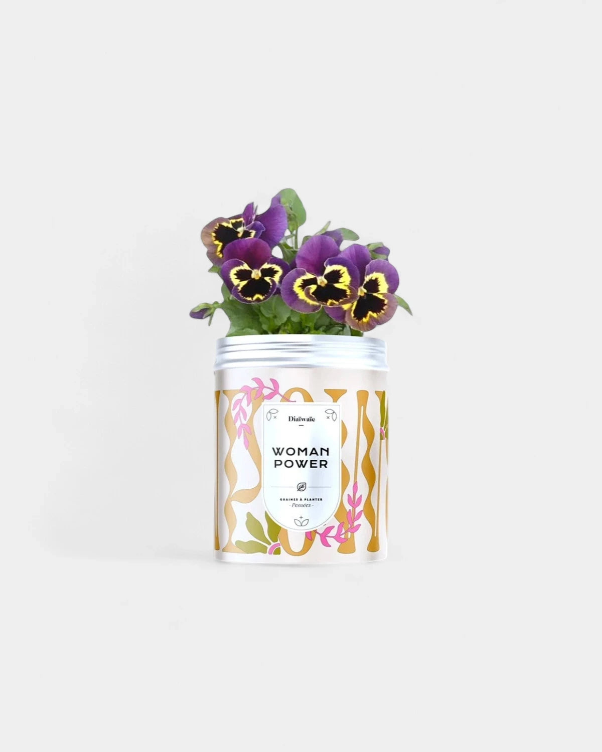 Kits de graines à planter personnalisable