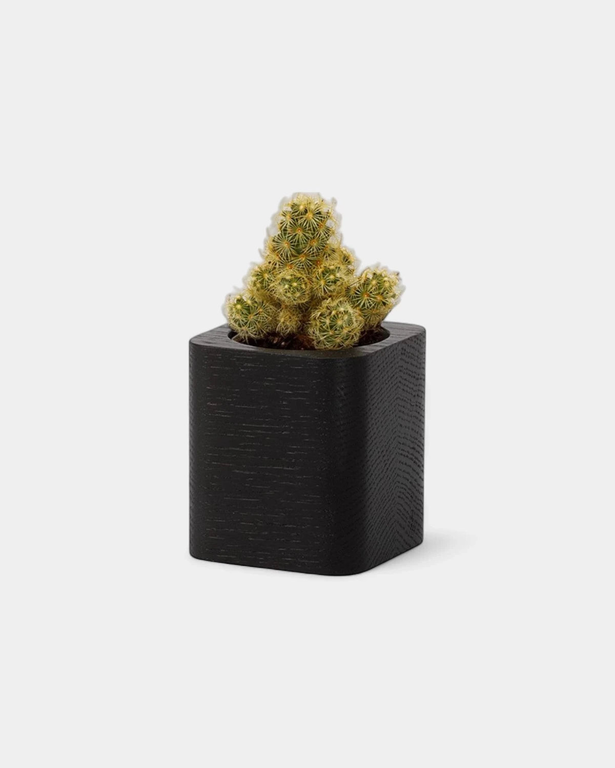 Pot cubique à personnaliser