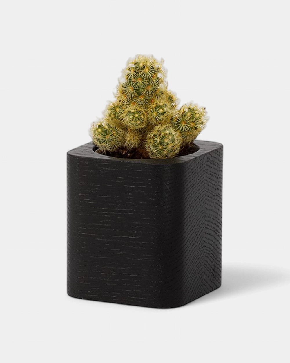 Pot cubique à personnaliser
