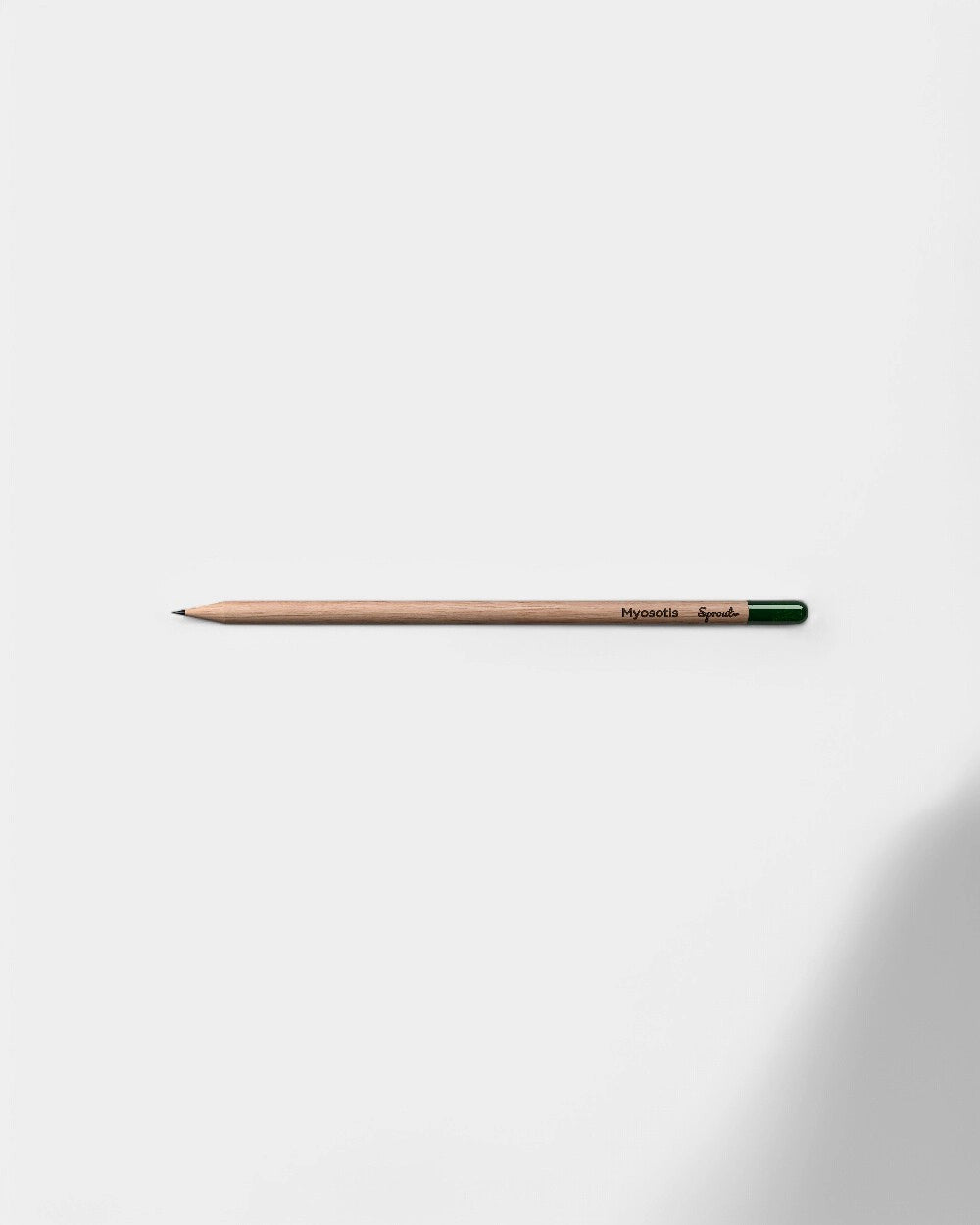 Crayon à planter éco-responsable personnalisable