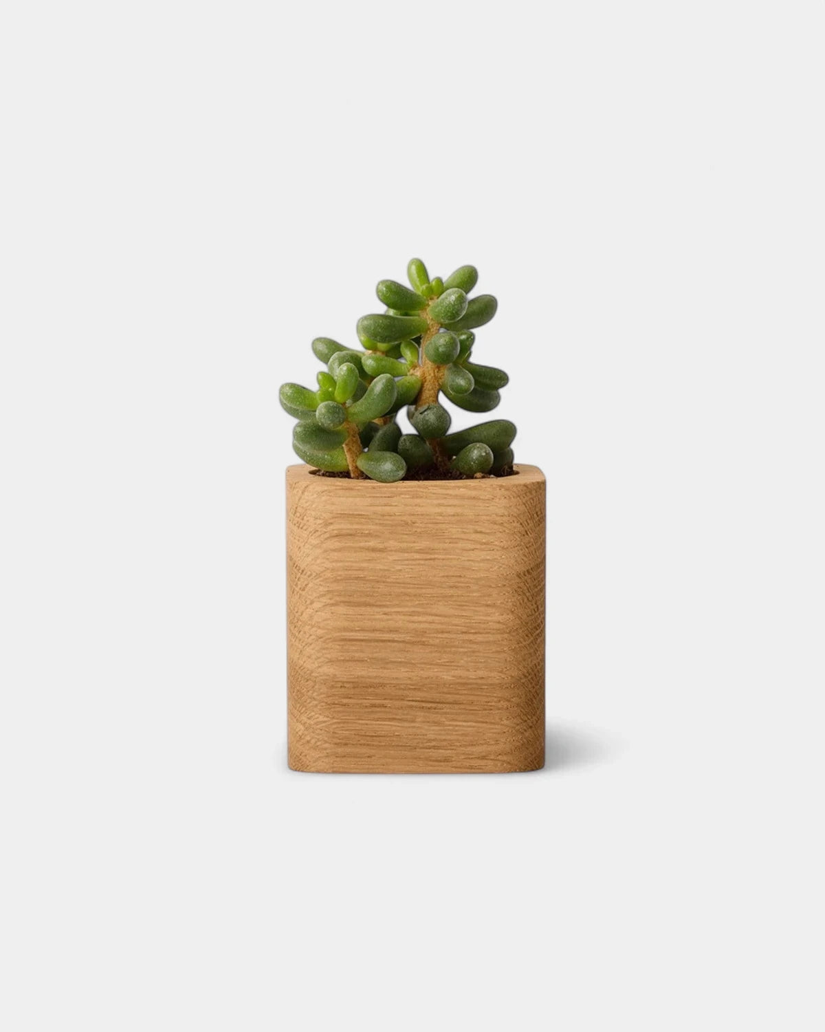 pot-cubique-en-bois-a-personnaliser24