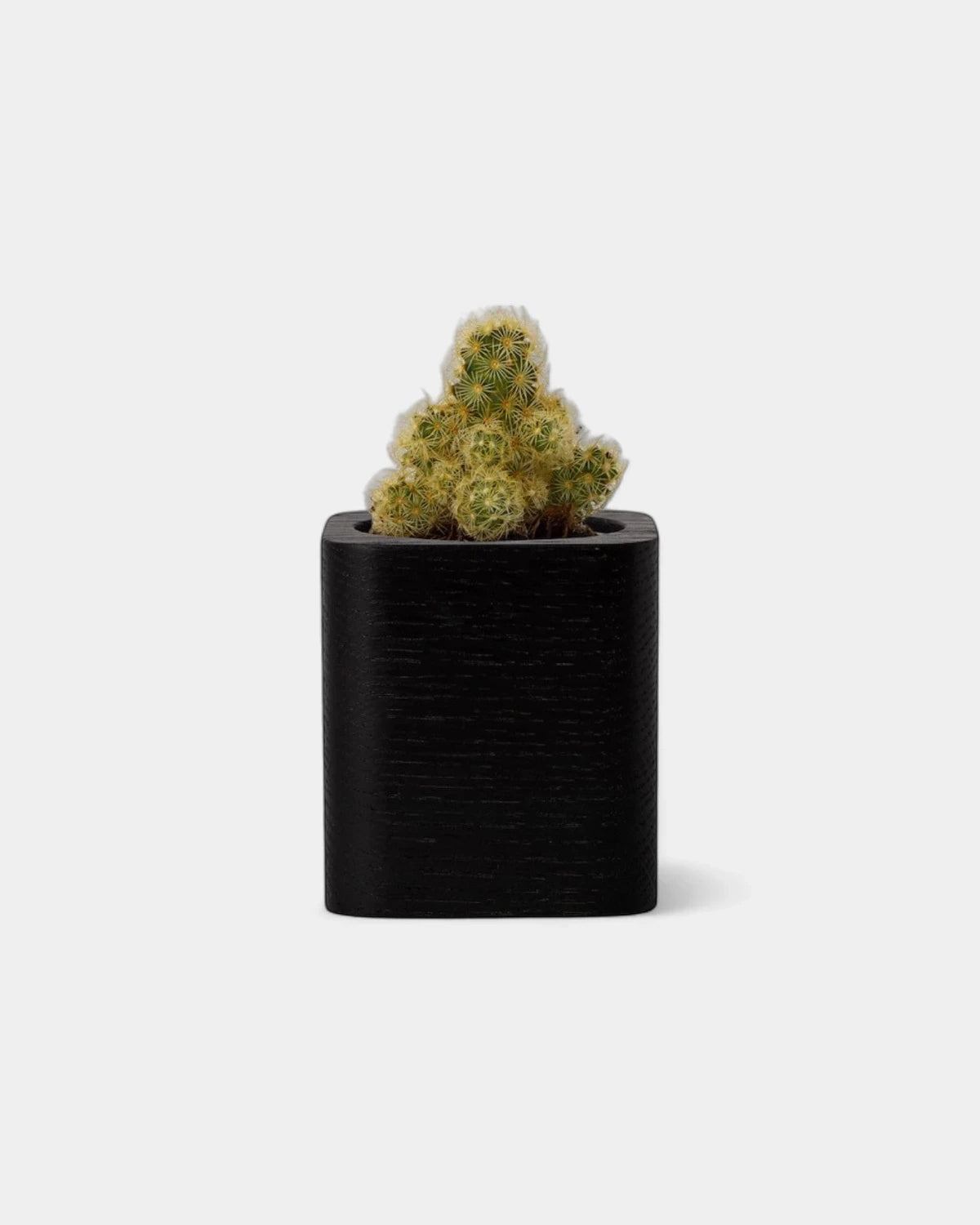 Pot cubique à personnaliser