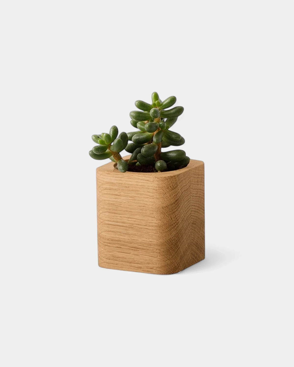 Pot cubique à personnaliser