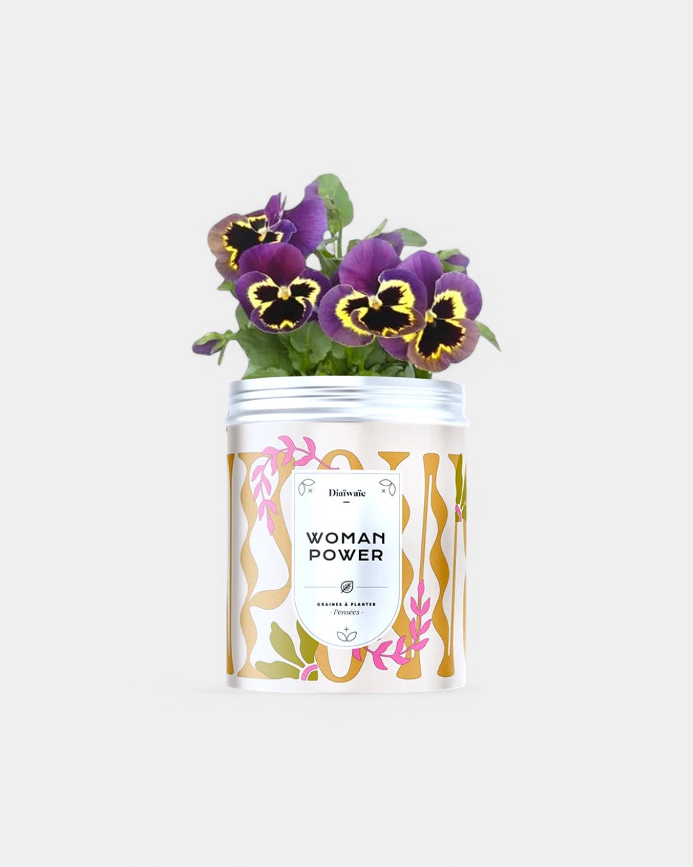 Kits de graines à planter personnalisable